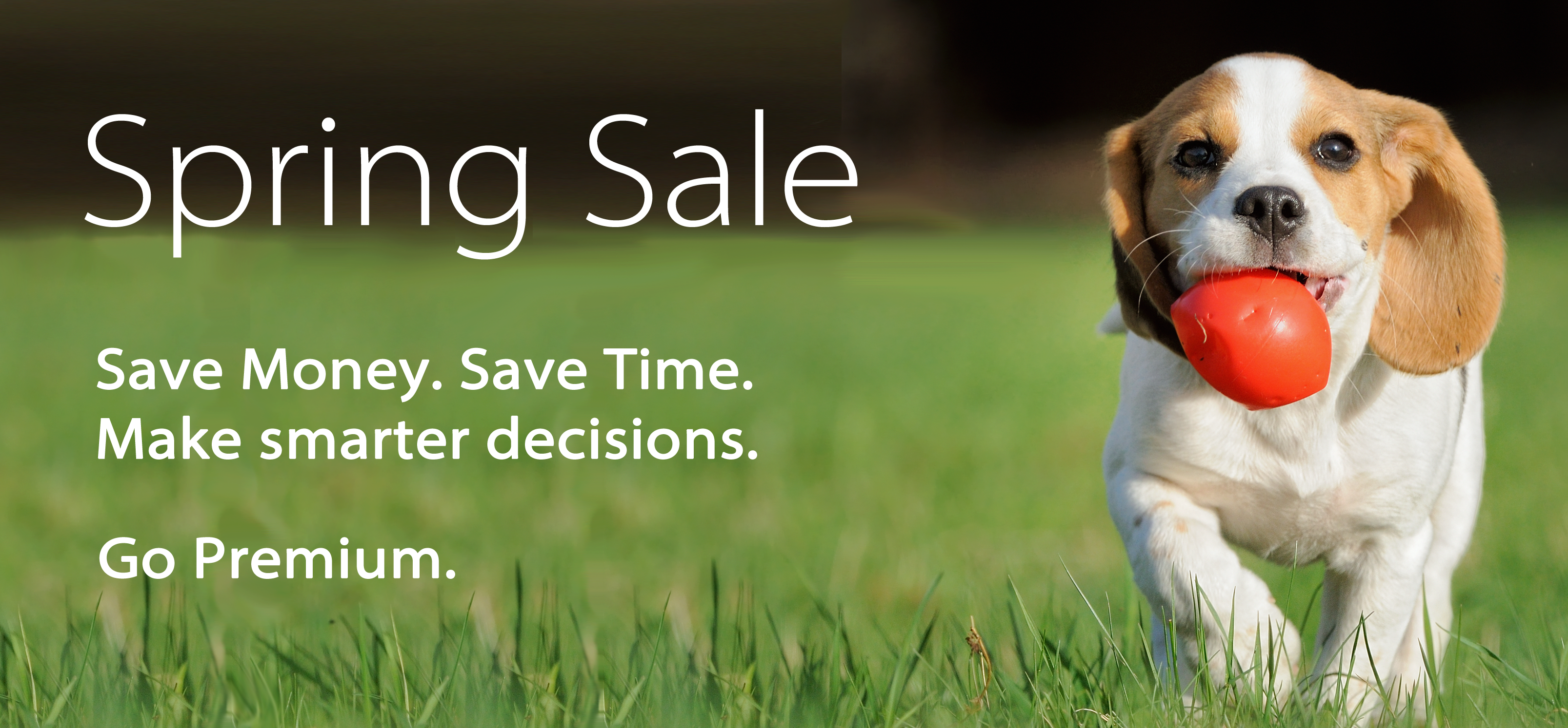 Spring Sale