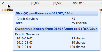 holdings detail tooltip